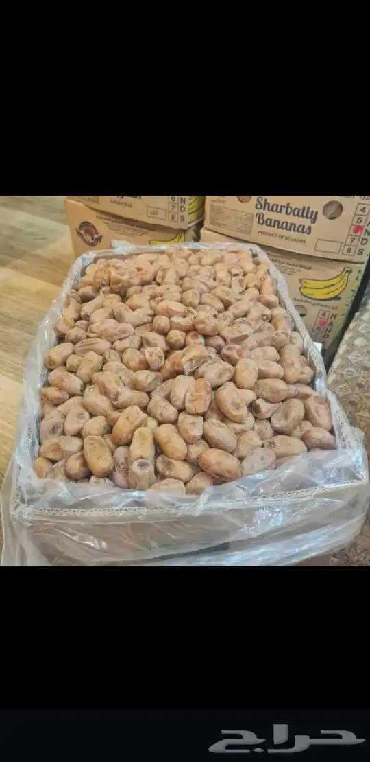 اخلاص وخضري 1