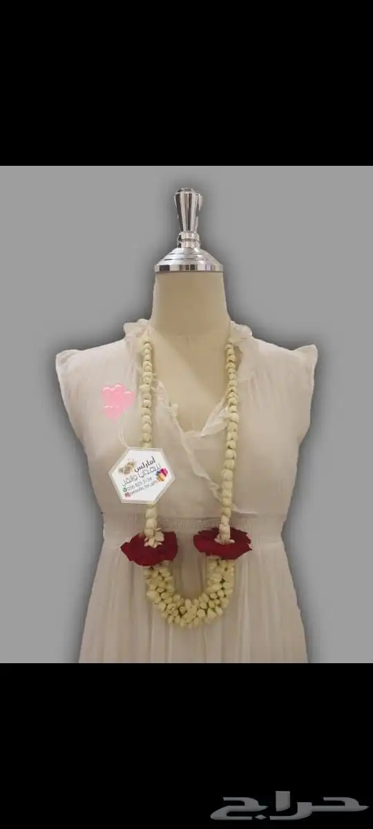 للفل البلدي 7