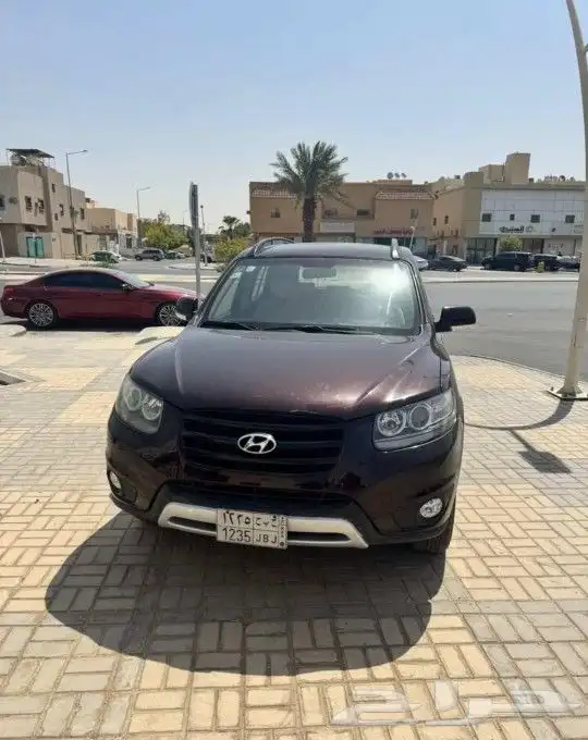 سنتافي 2012 3