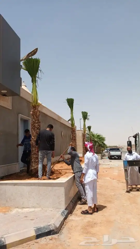 يوجد جميع انواع الاشجار والنباتات 2