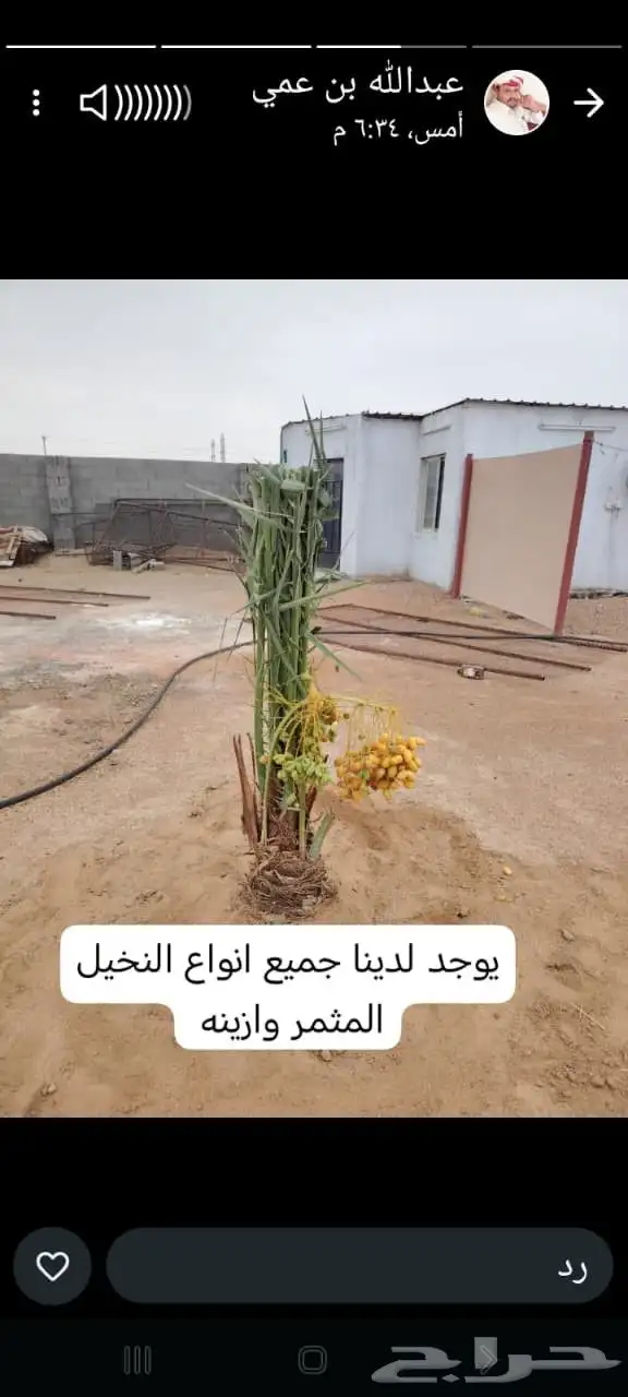 تحت اشراف ابو علي لتوريد وتركيب انخيل 8