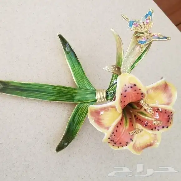 جاي استرونغ واتر بترفلاي استار غيزر 3