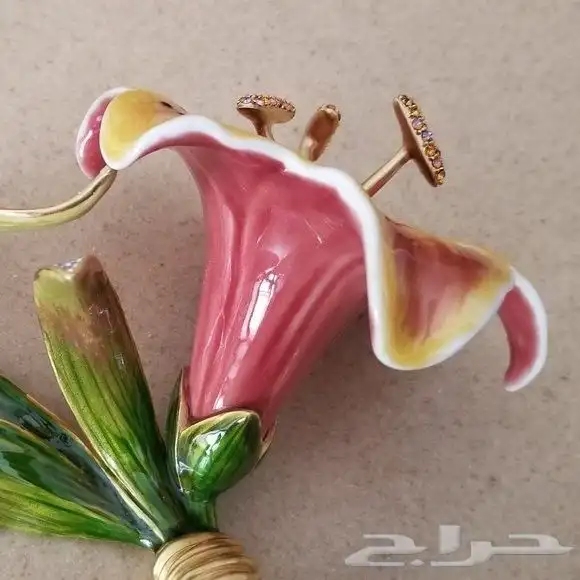 جاي استرونغ واتر بترفلاي استار غيزر 2