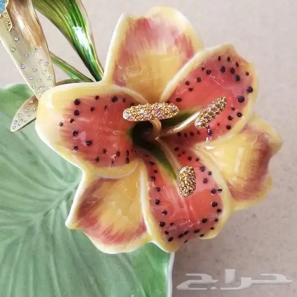 جاي استرونغ واتر بترفلاي استار غيزر 8