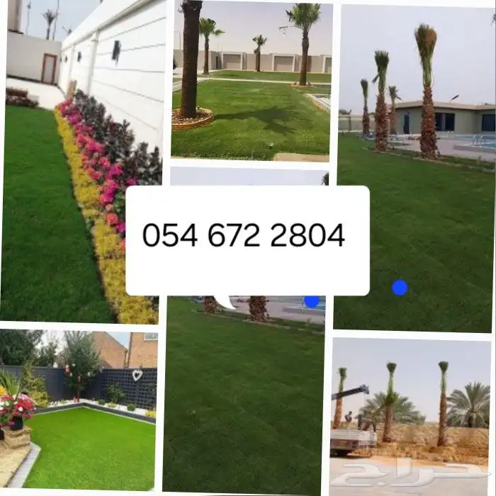 يوجد جميع انواع الاشجار والنباتات 7