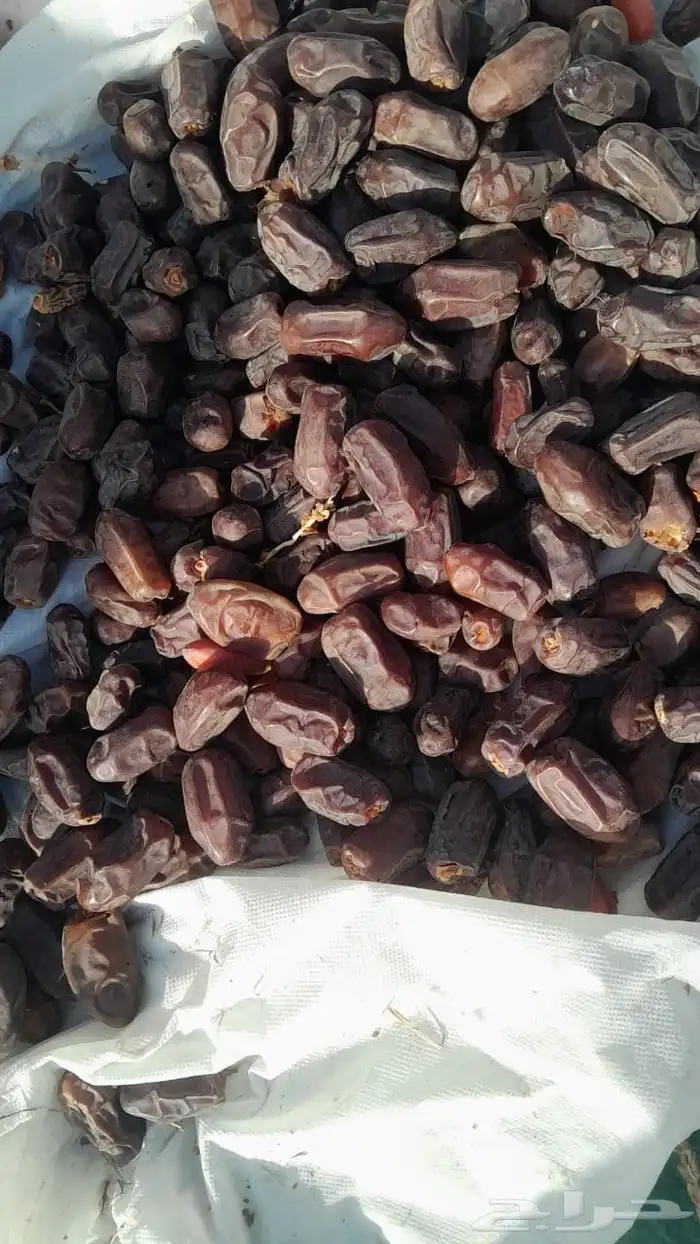يوجد لدينا 500كرتون خضري طيب 0