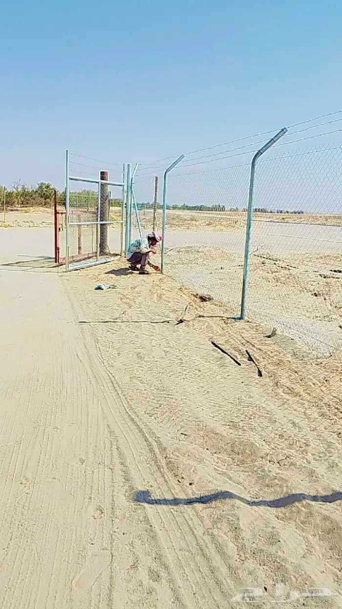 مقاول شبوك 15