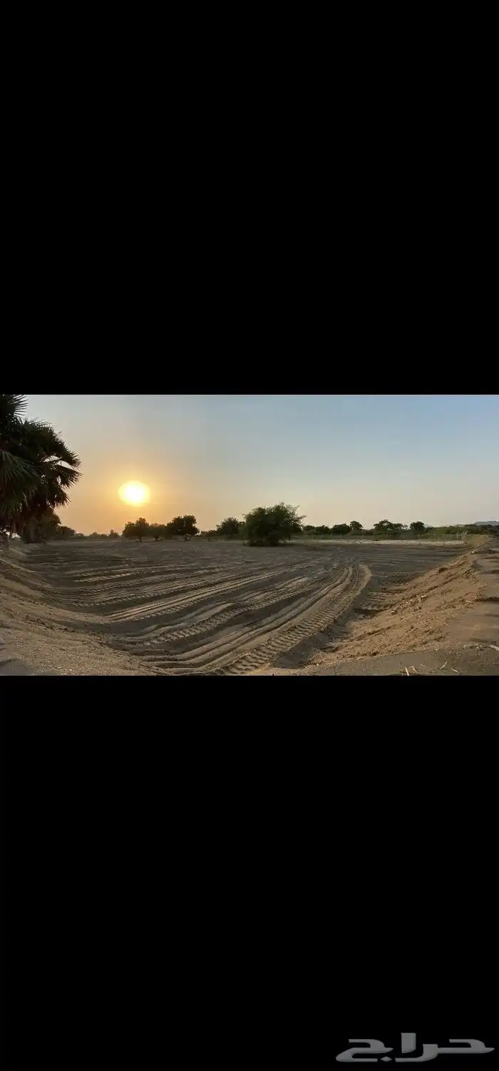 أرض زراعية كبيرة للبيع في القحمة بصك اكتروني 4