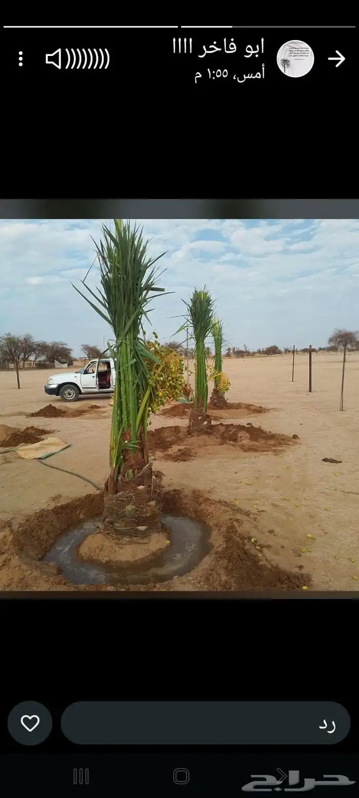 تحت اشراف ابو علي لتوريد وتركيب انخيل 10