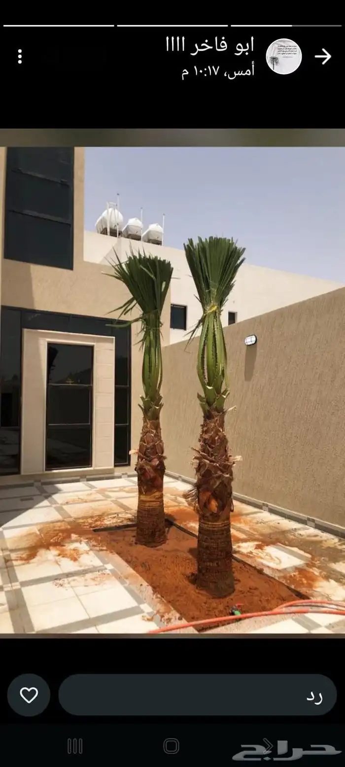 تحت اشراف ابو علي لتوريد وتركيب انخيل 15