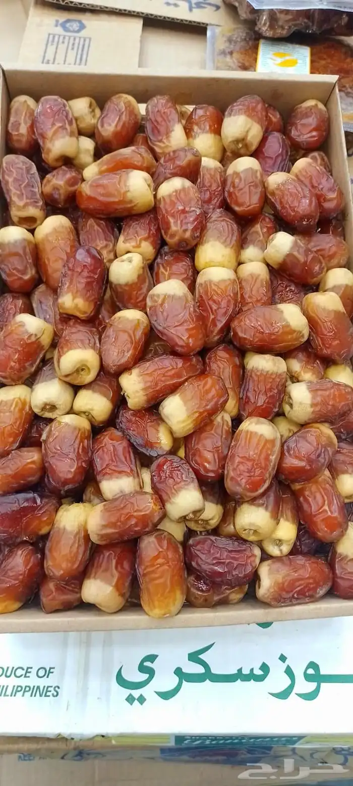 تمور فاخره 5