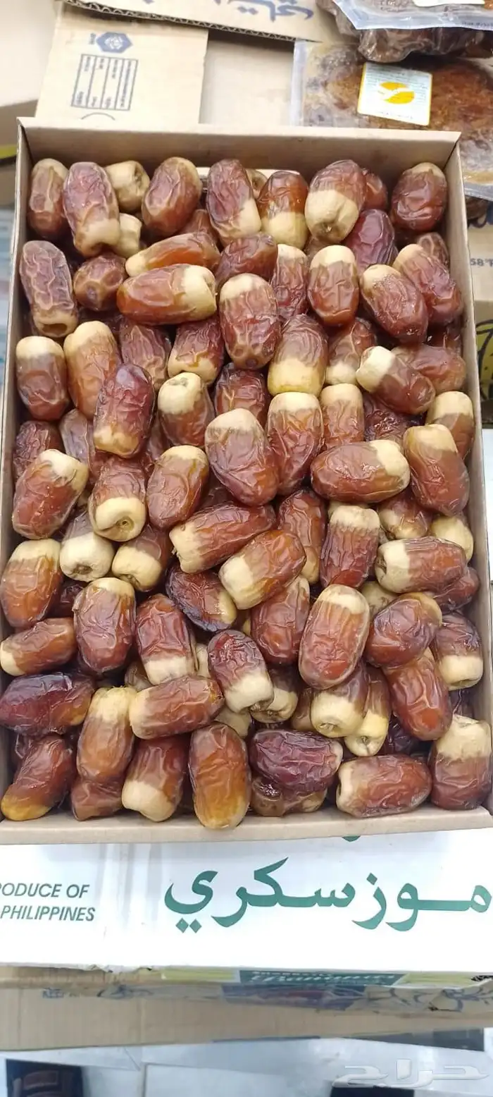 تمور فاخره 6