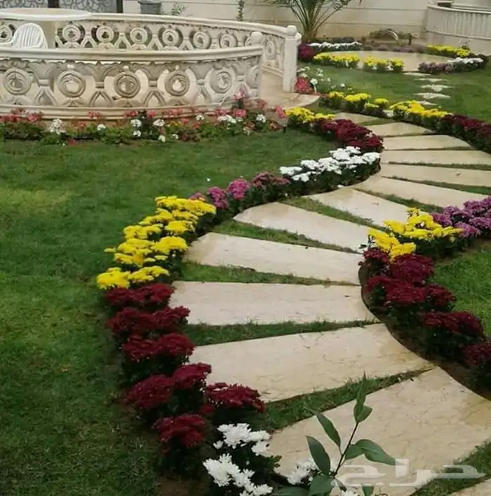 تنسق حدق مهندس جابر تركيب تيل صاني تركيب شبكات جميع الاشجار 9