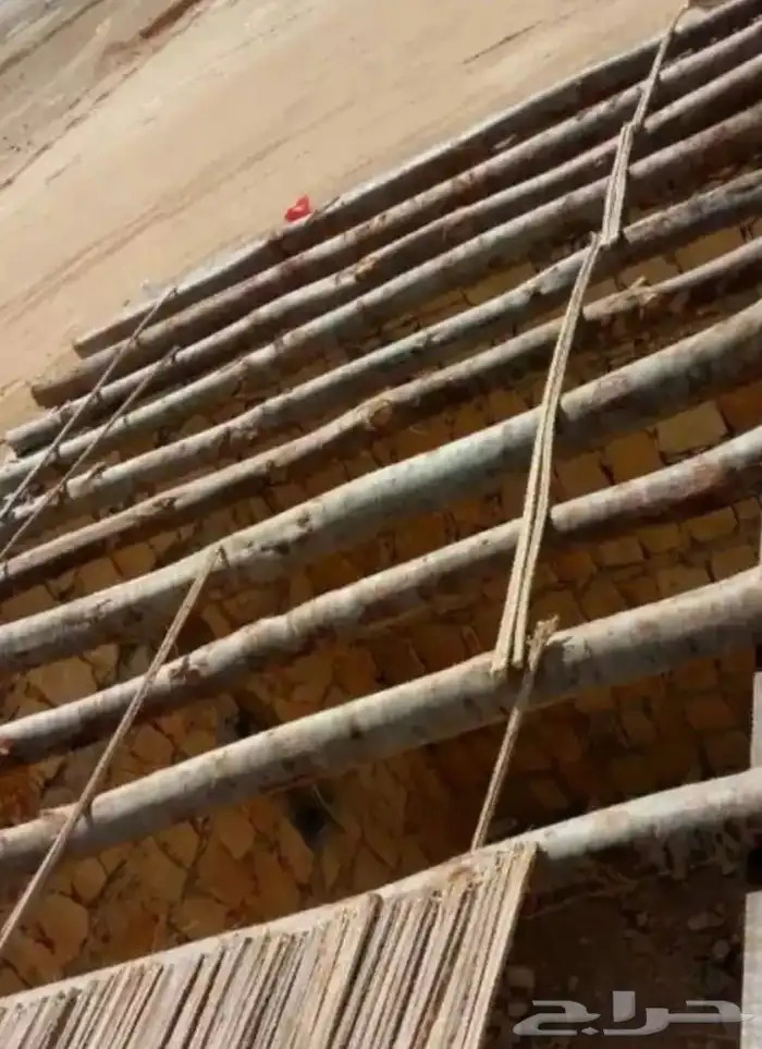 تراث 5