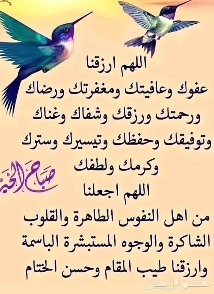 معلم بلاط فني ابحث عن عمل 0