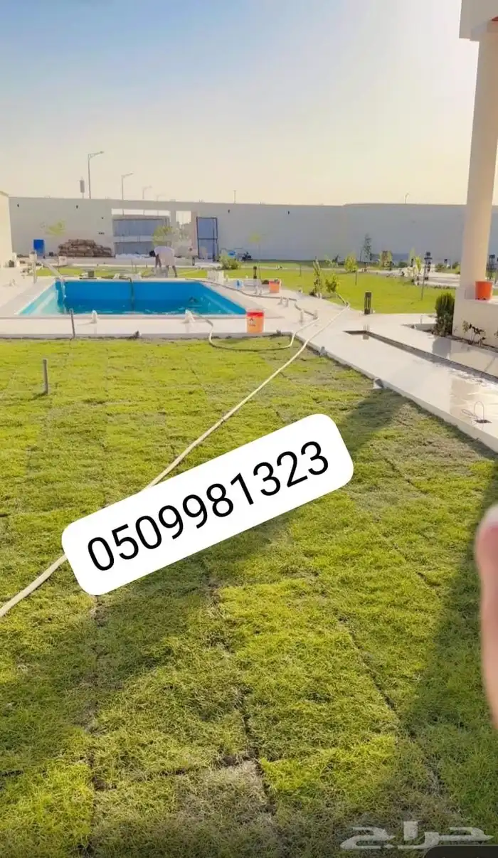 ثيل طبيعي 0