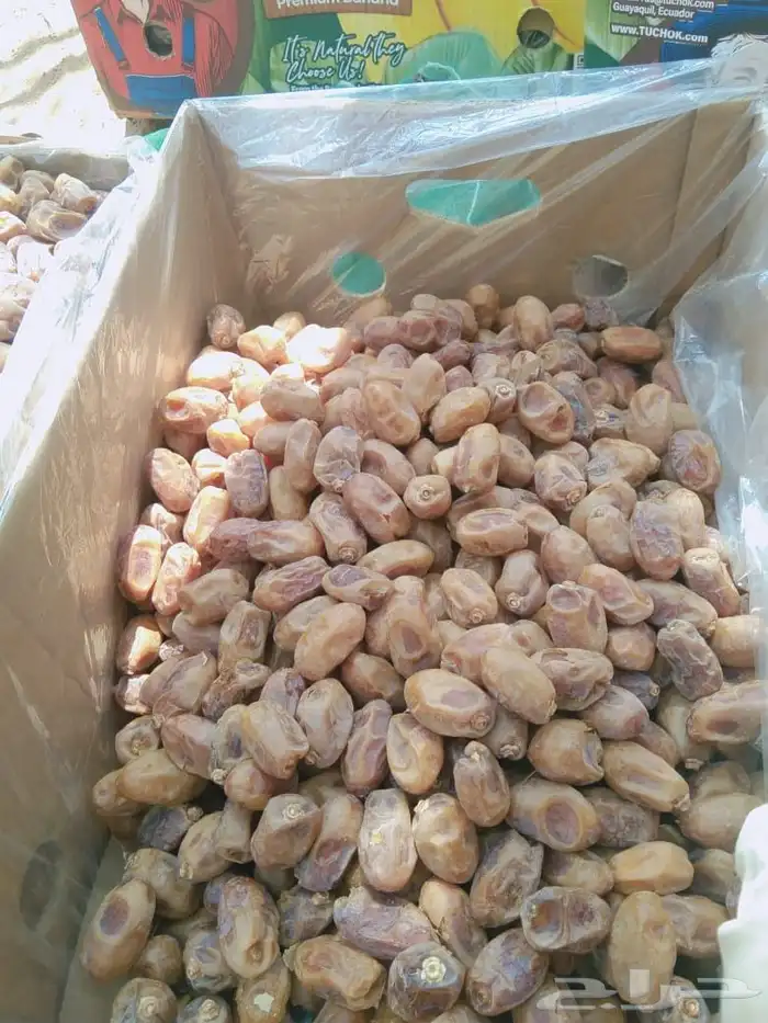 تمور خلاص فلة طيب طيب 0
