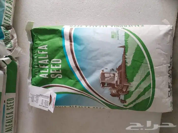 بذر أمريكي كاف 101 الكميه الموجوده حول 80كيس 1