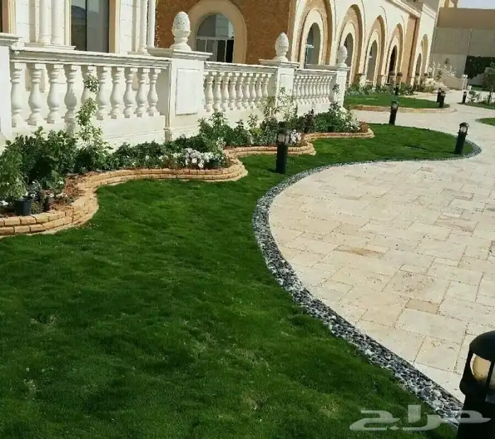 تنسق حدق مهندس جابر تركيب تيل صاني تركيب شبكات جميع الاشجار 1