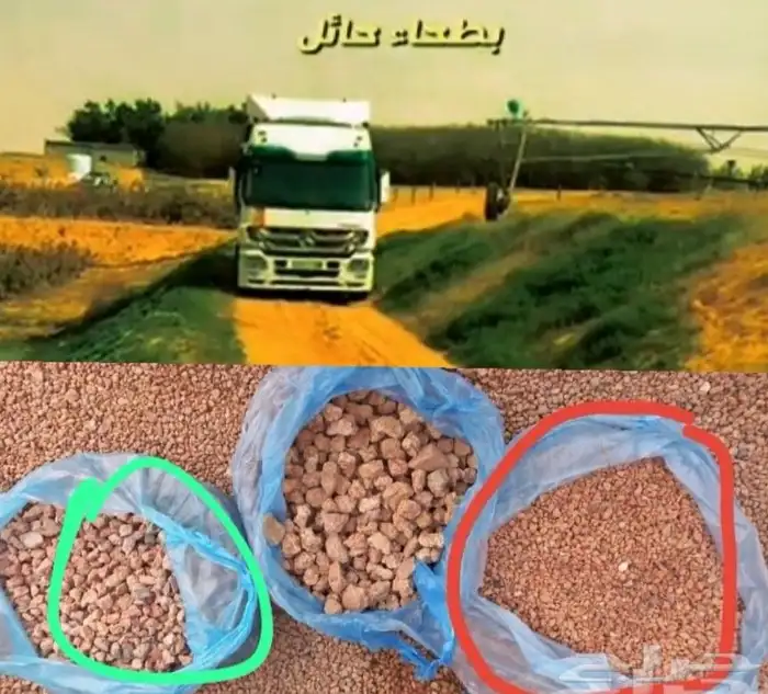 بطحاء أحمر 0