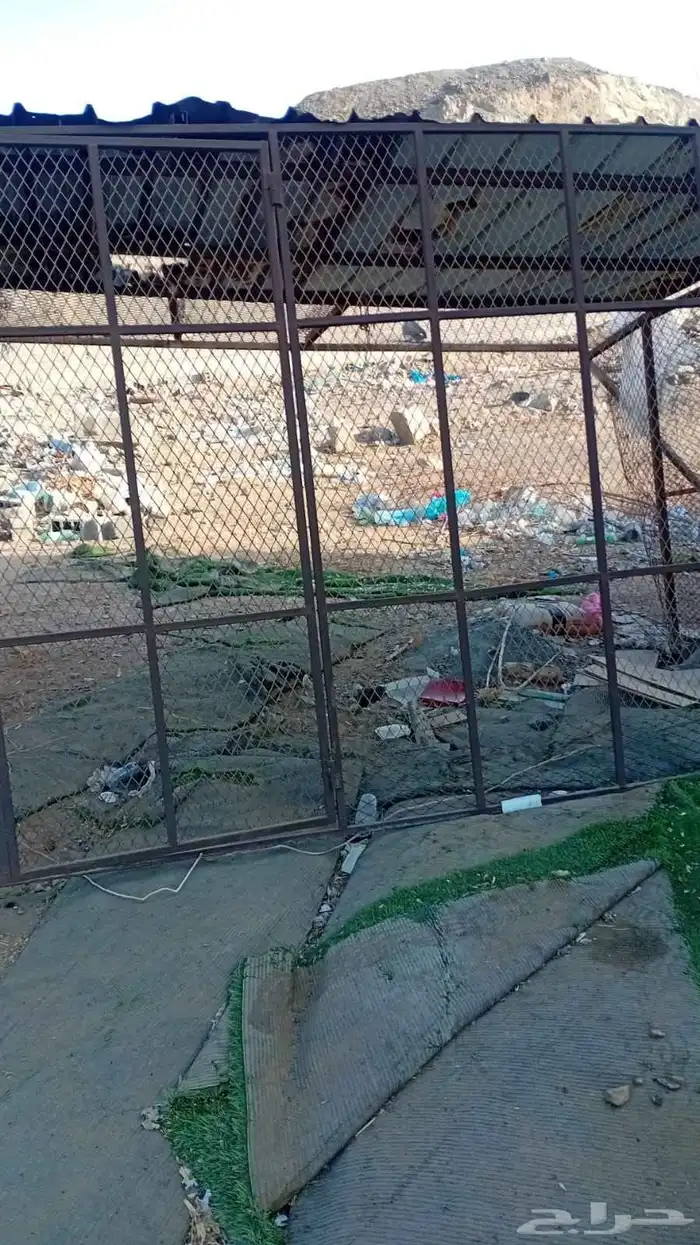 شبك وزنق 0