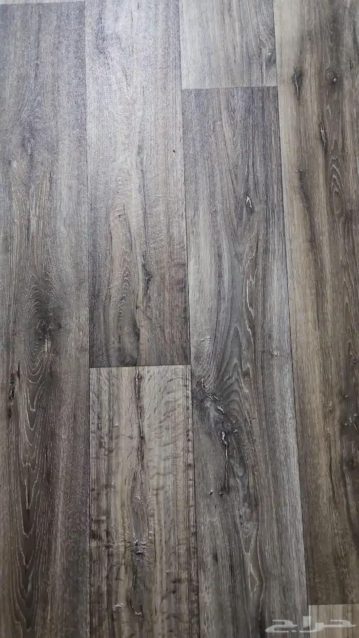 فنيل بلجيكي 17