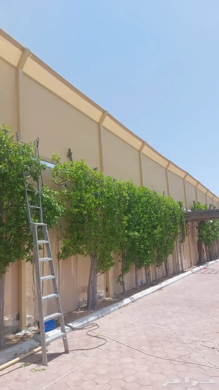 ستره سواتر جدار ساتر قماش سواتر حديد تحويشات شينكو سوات خشب 0