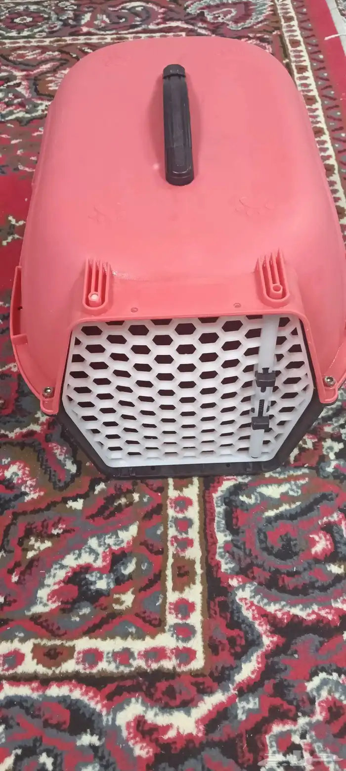 حامل قطط 3