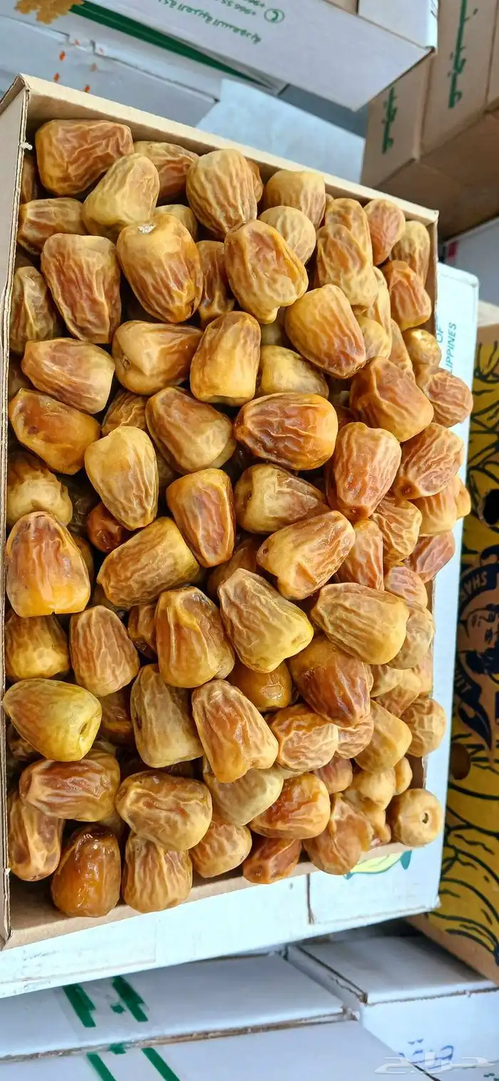 تمور فاخره 2