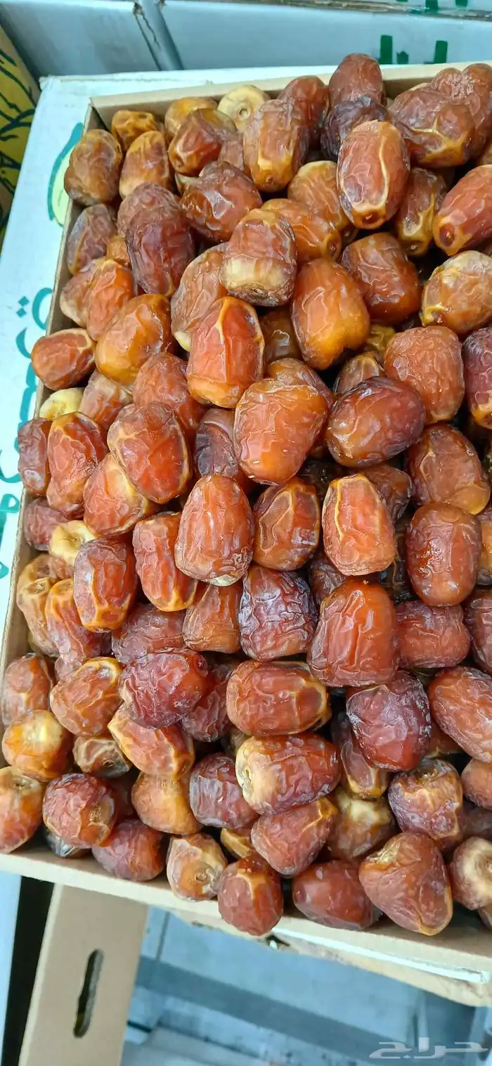 تمور فاخره 3