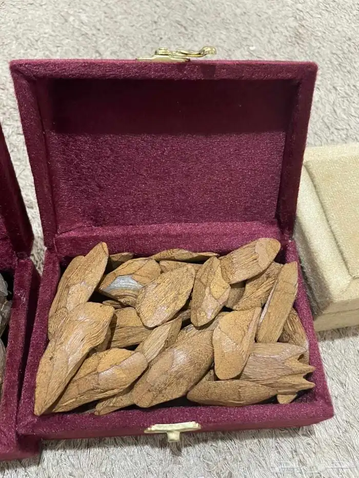 عود جملة 3
