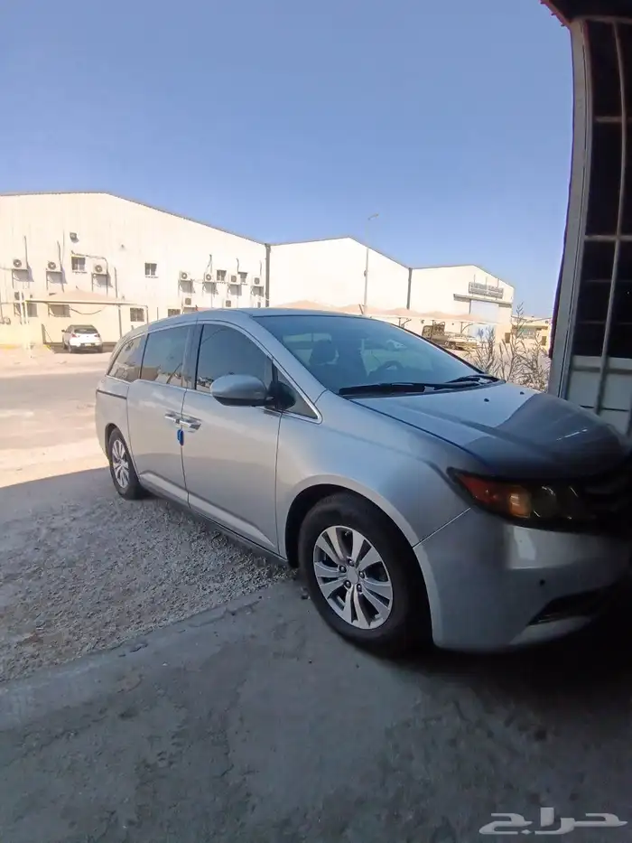 اوديسي2014 19