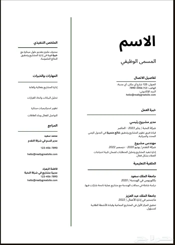 سيرة ذاتية احترافية 1