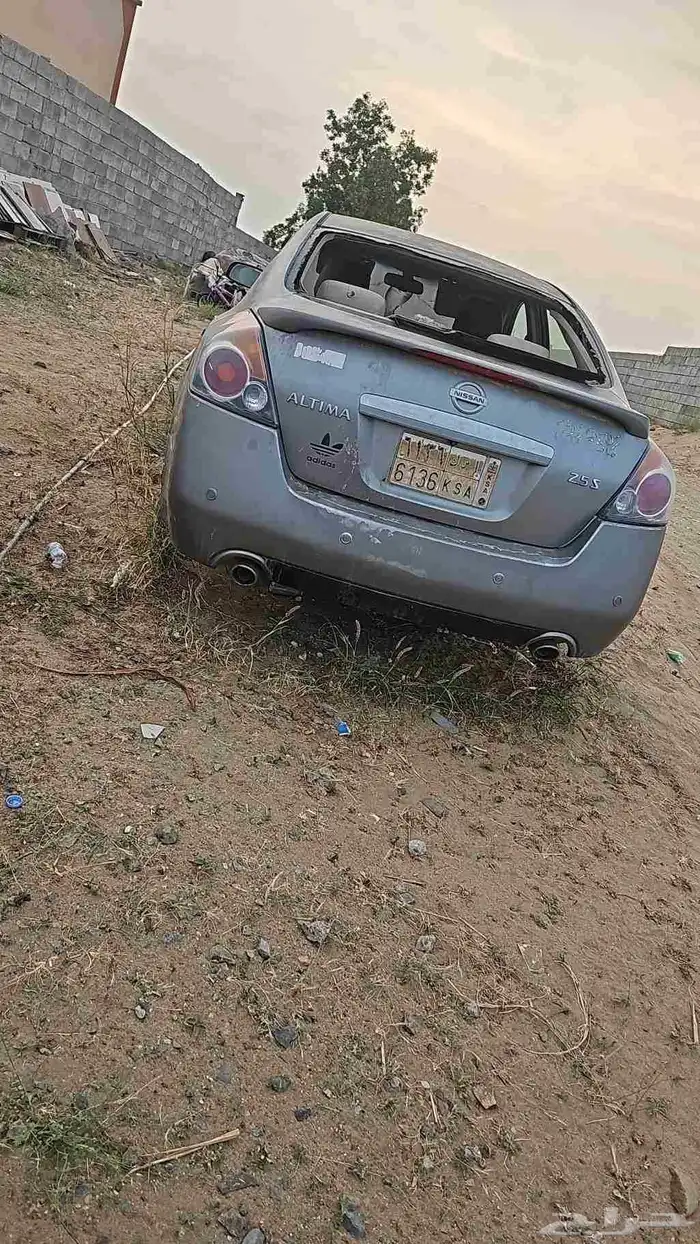 التيما 7