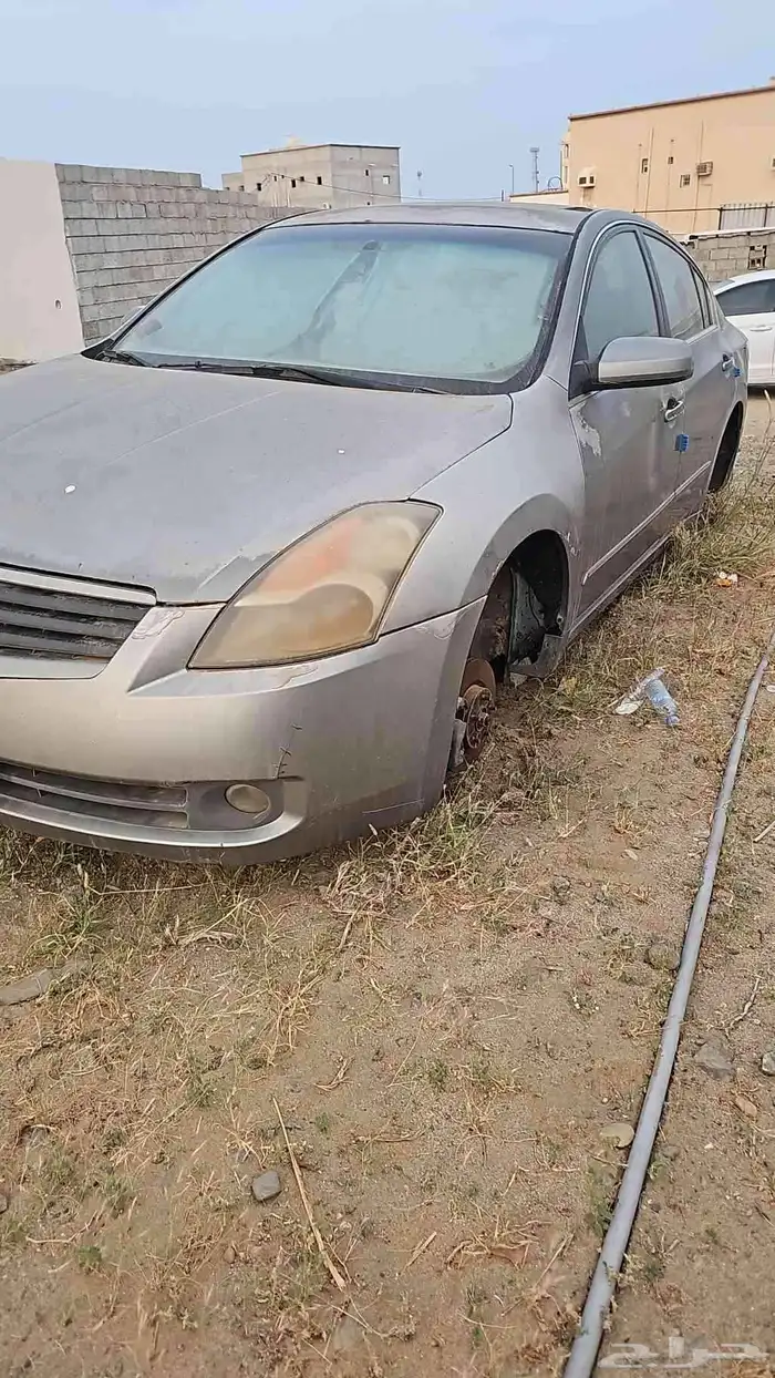 التيما 3
