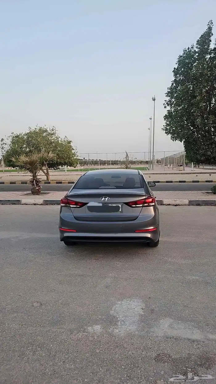 النتراء 2017 6