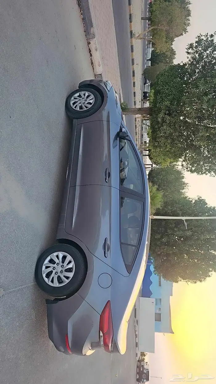 النتراء 2017 0