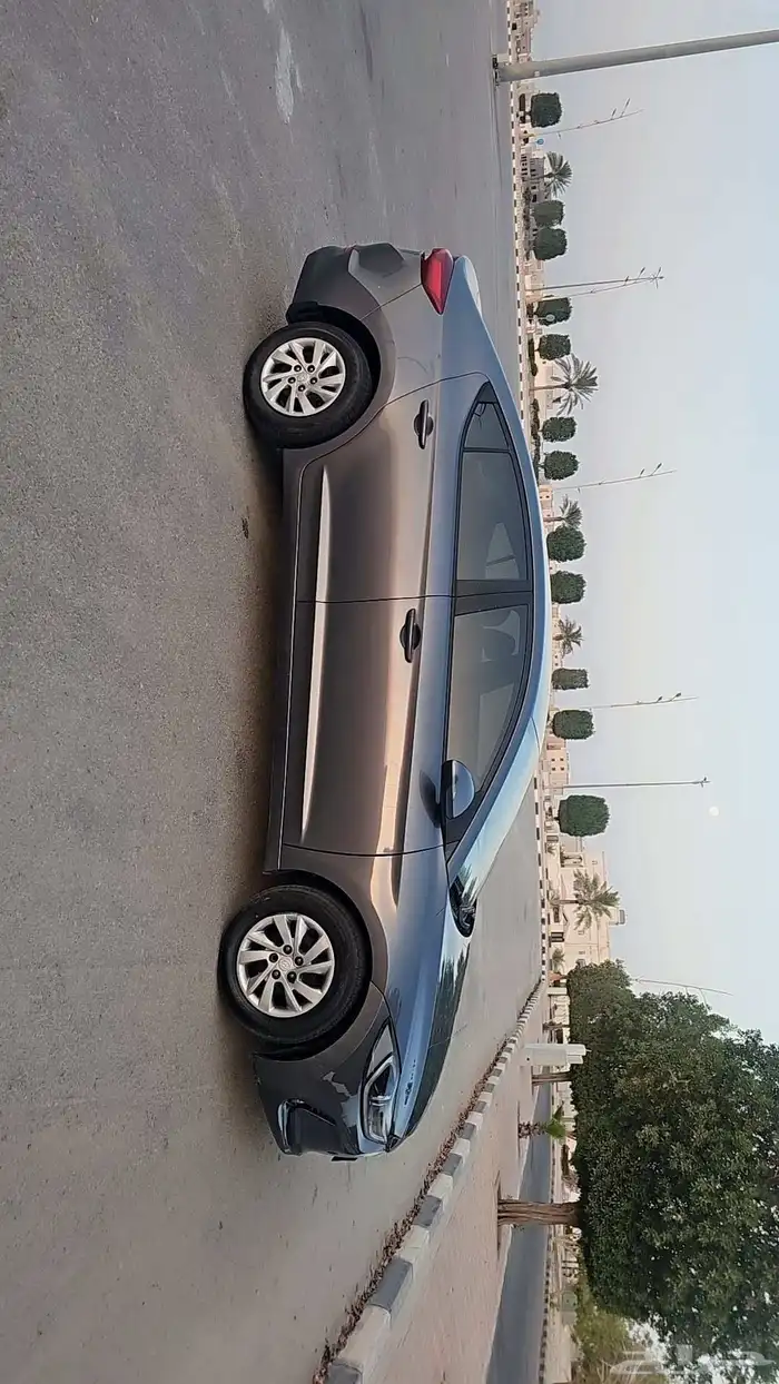 النتراء 2017 1