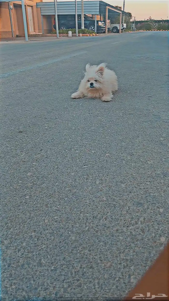 للتواصل 0