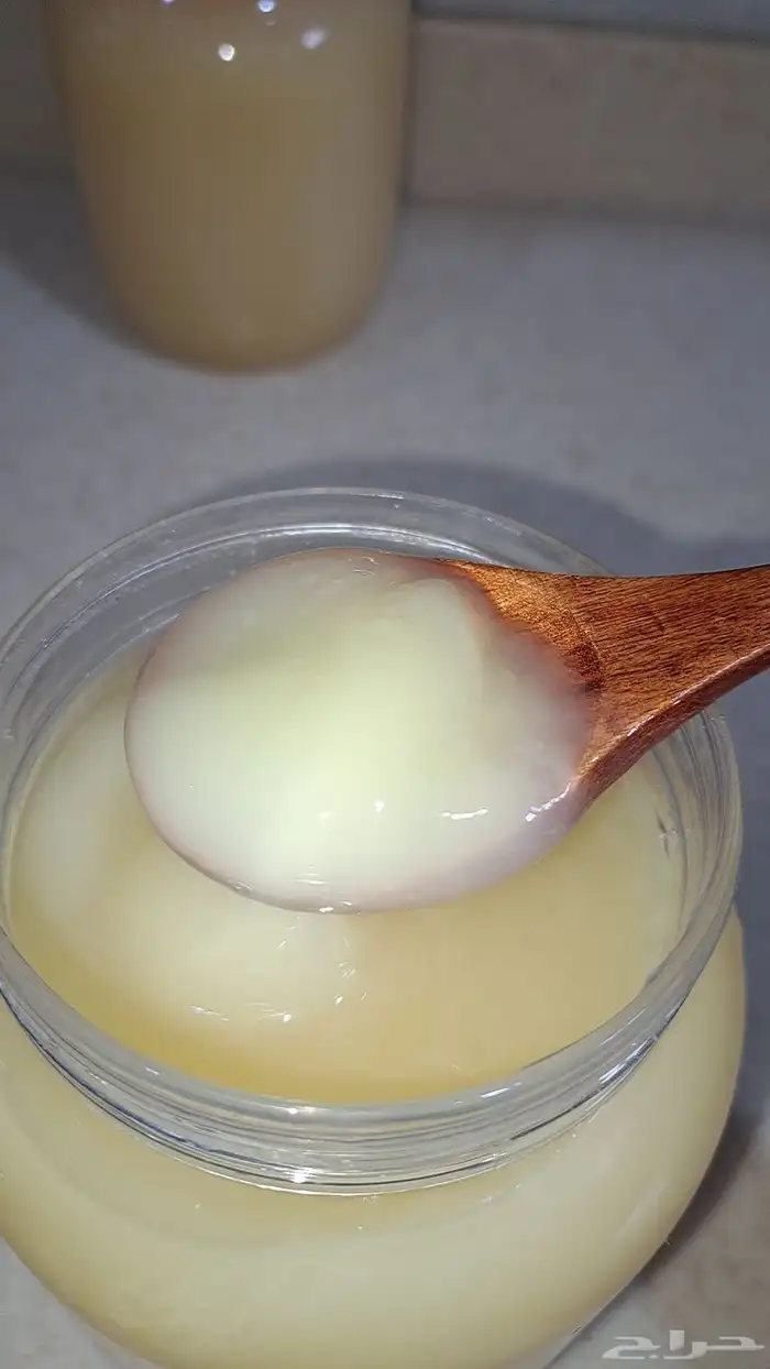 سمن معزه بري 2