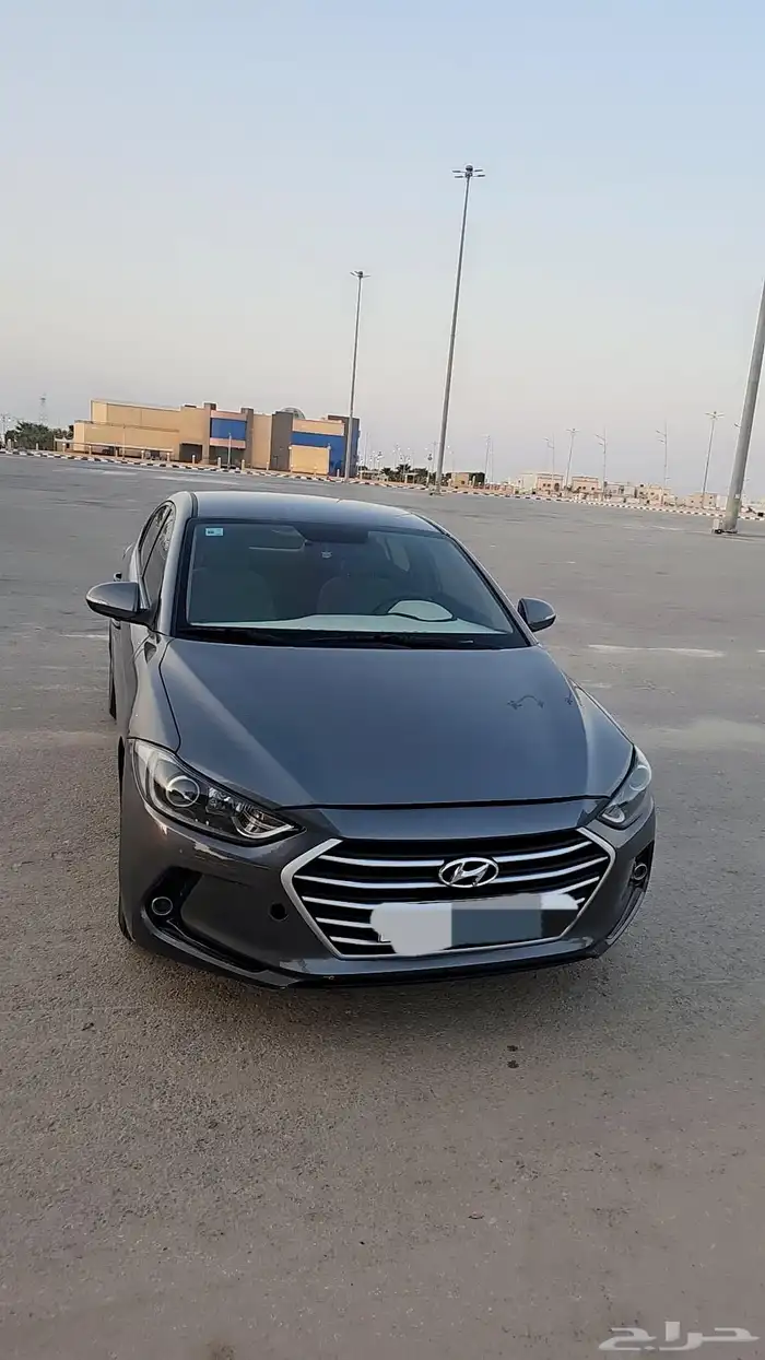 النتراء 2017 5