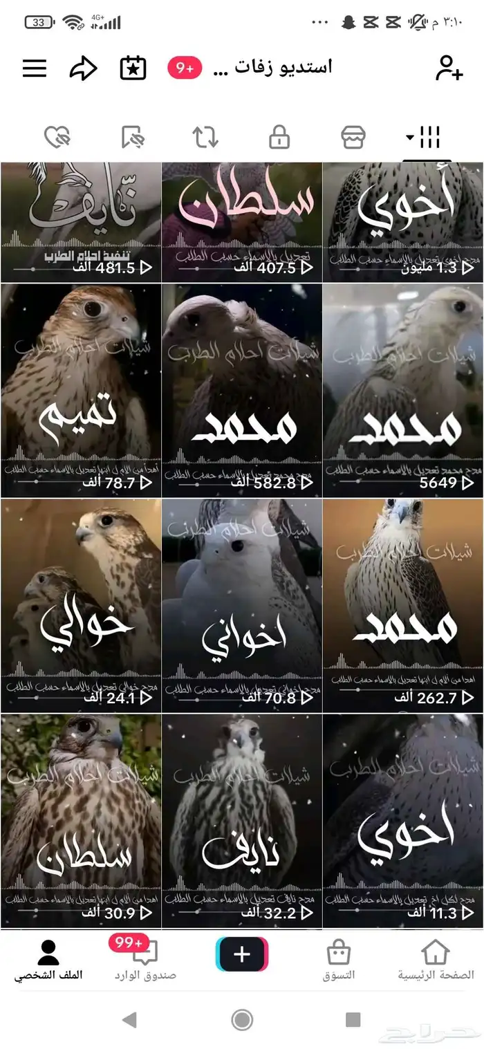 استديو شيلات بالاسماء حسب الطلب 0