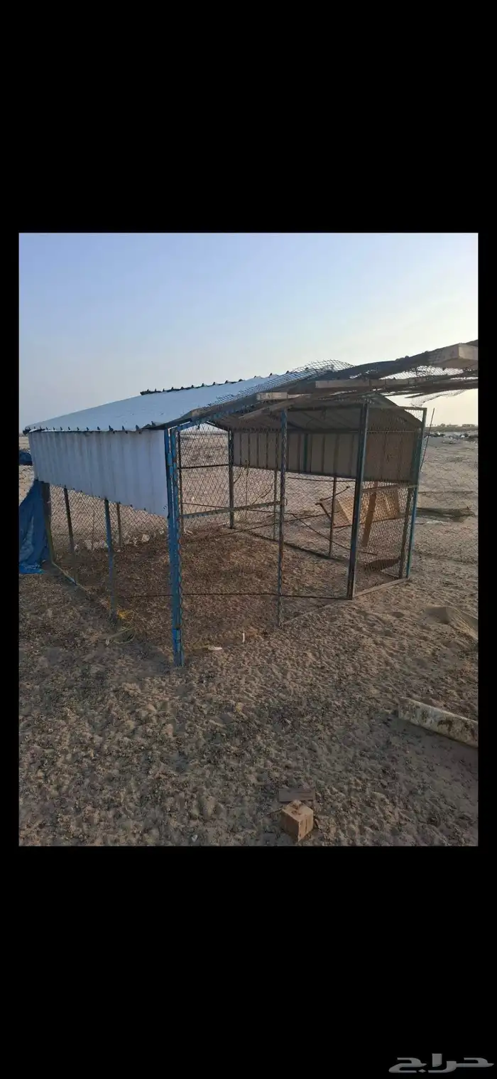 للبيع شبك دجاج 0