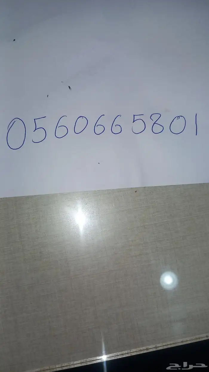 بذور برسيم امريكي كالفورنيا ك101 اصلي 25 كيلو 2500 ريال 0