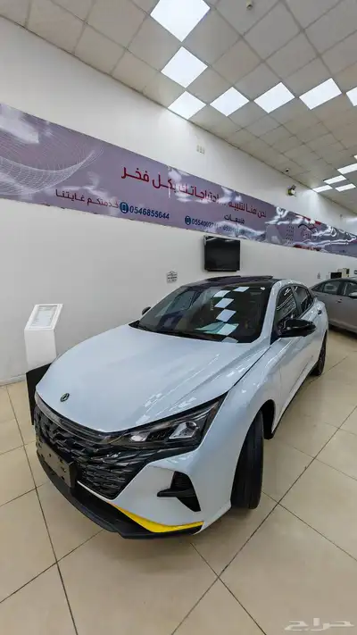 دونق فينق شاين جميع الفئات 2025 index