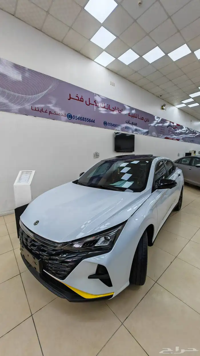 دونق فينق شاين جميع الفئات 2025 1