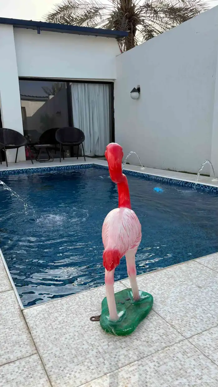 شاليه للايجار اليومي 3