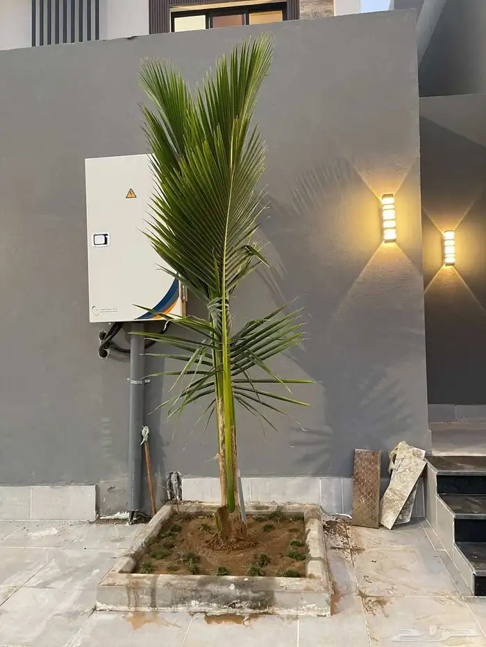 تنسيق حدائق 8