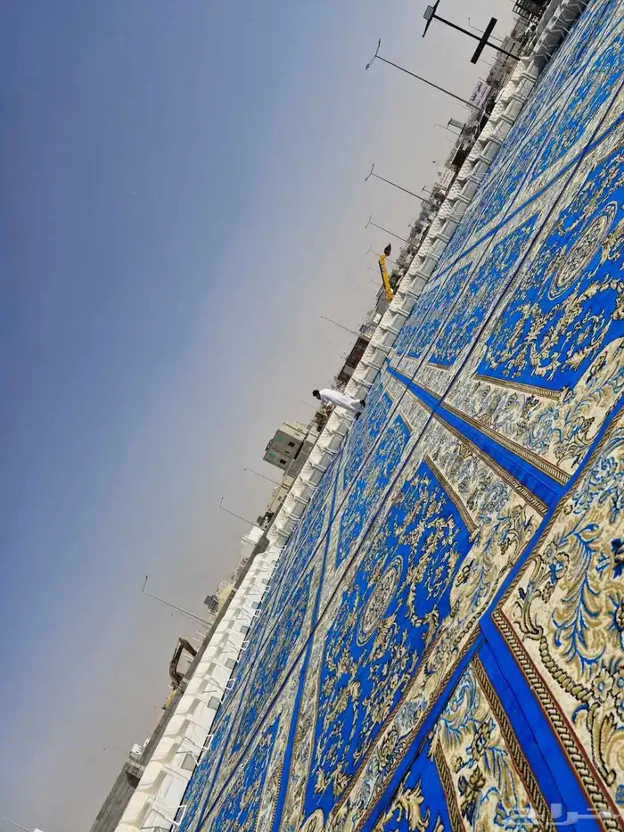تاجير زل الازرق وكنب 4