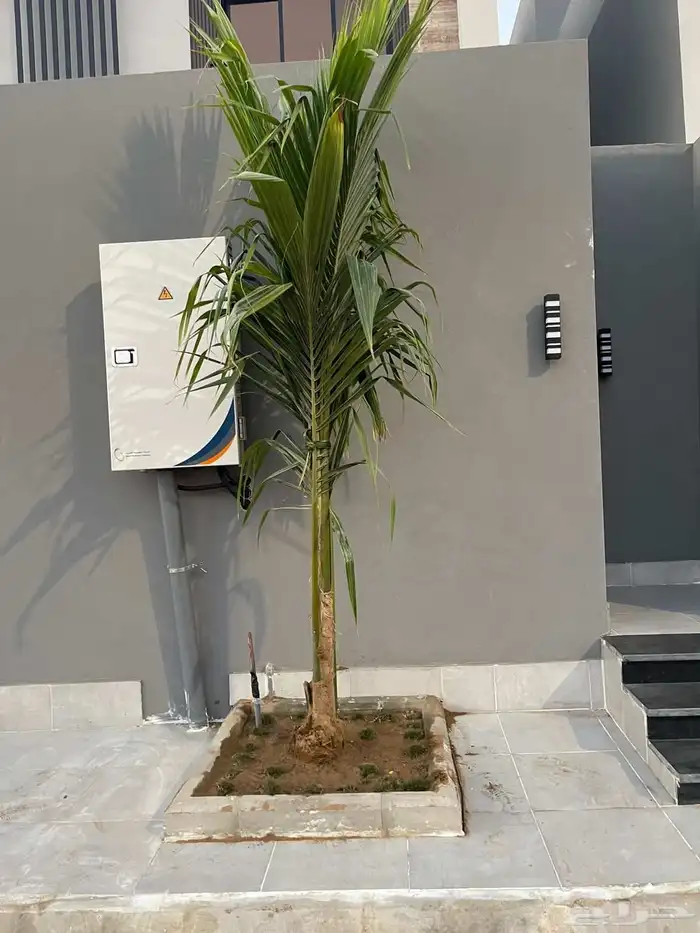 تنسيق حدائق 7